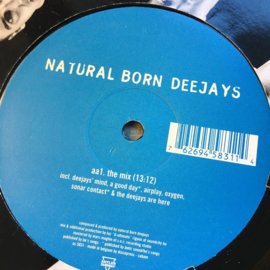 Natural Born Deejays – Push It
