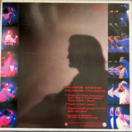 Feargal Sharkey – You Little Thief