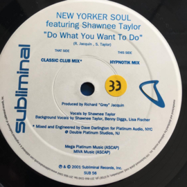 New Yorker Soul Feat. Shawnee Taylor – Do What You Want To Do