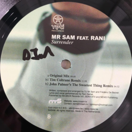 Mr Sam* Feat. Rani – Surrender