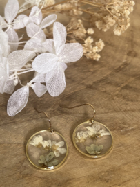 Oorbel gedroogde bloemen