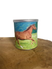 Traktatie pringles paard