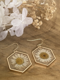 Oorbel gedroogde bloemen