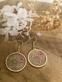 Oorbel gedroogde bloemen