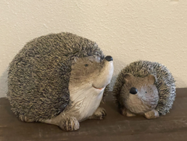Egel GROOT van pottery en zachte stekels