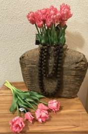 Papagaai tulpen