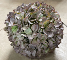 Hortensia bol KUNST groot