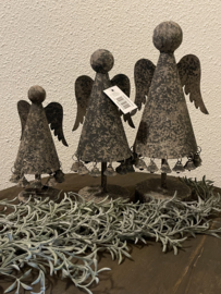 Engel met muntjes grijs  kl