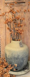 Brynxz cornus copper