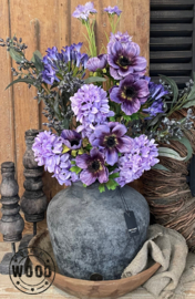 Brynxz agapanthus dark blue