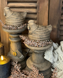 Brynxz chicken with lines