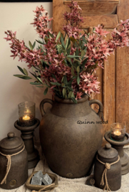 Sylxz forsythia pink & Burgundy