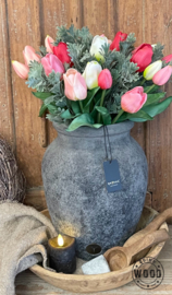 Unieke houten schaal NO2