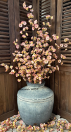 Sylxz Cornus carved grande pink