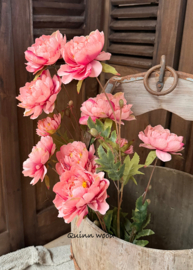 Sylxz ranunculus sober spring pink