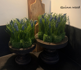 Kunst druifjes in mos