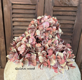 Sylxz hydrangea sober green