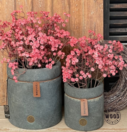 Brynxz planter majestic vintage 15cm