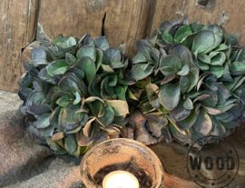 Bruin/Groene Eucalyptus bal S