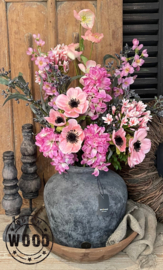 Brynxz melastoma pink