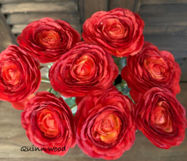 Sylxz ranunculus spring rood
