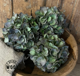 Bruin/Groene Eucalyptus bal S