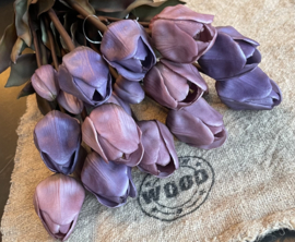Tulpen  paars 45cm