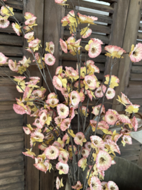 Sylxz Cornus carved grande pink