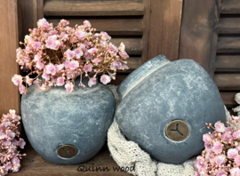 Brynxz bolvase allure