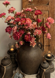 Sylxz ranunculus sober spring dark pink