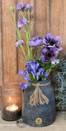 Brynxz agapanthus dark blue