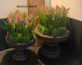 Kunst druifjes in mos