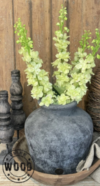 Brynxz delphinium light green