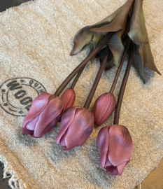 Tulpen fuchsia 45cm