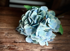 Zijde tak hortensia blue