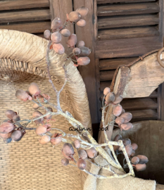 Alnus Grande Brown 92cm