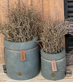 Brynxz planter majestic vintage 15cm