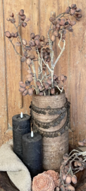 Alnus Grande Brown 92cm