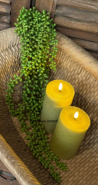 Sylxz hanging pea axcellent