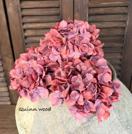 Sylxz hydrangea sober burgundy