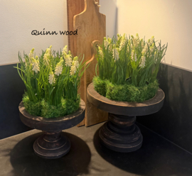 Kunst druifjes in mos