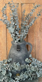 Brynxz eucalyptus
