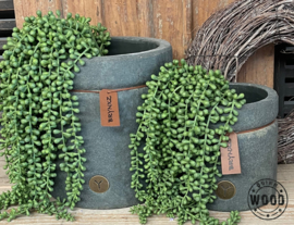 Brynxz planter majestic vintage 15cm