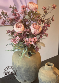 Brynxz delphinium pink