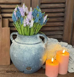 Sylxz druifjes blauw