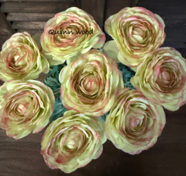 Sylxz ranunculus spring groen