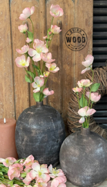 Brynxz melastoma pink
