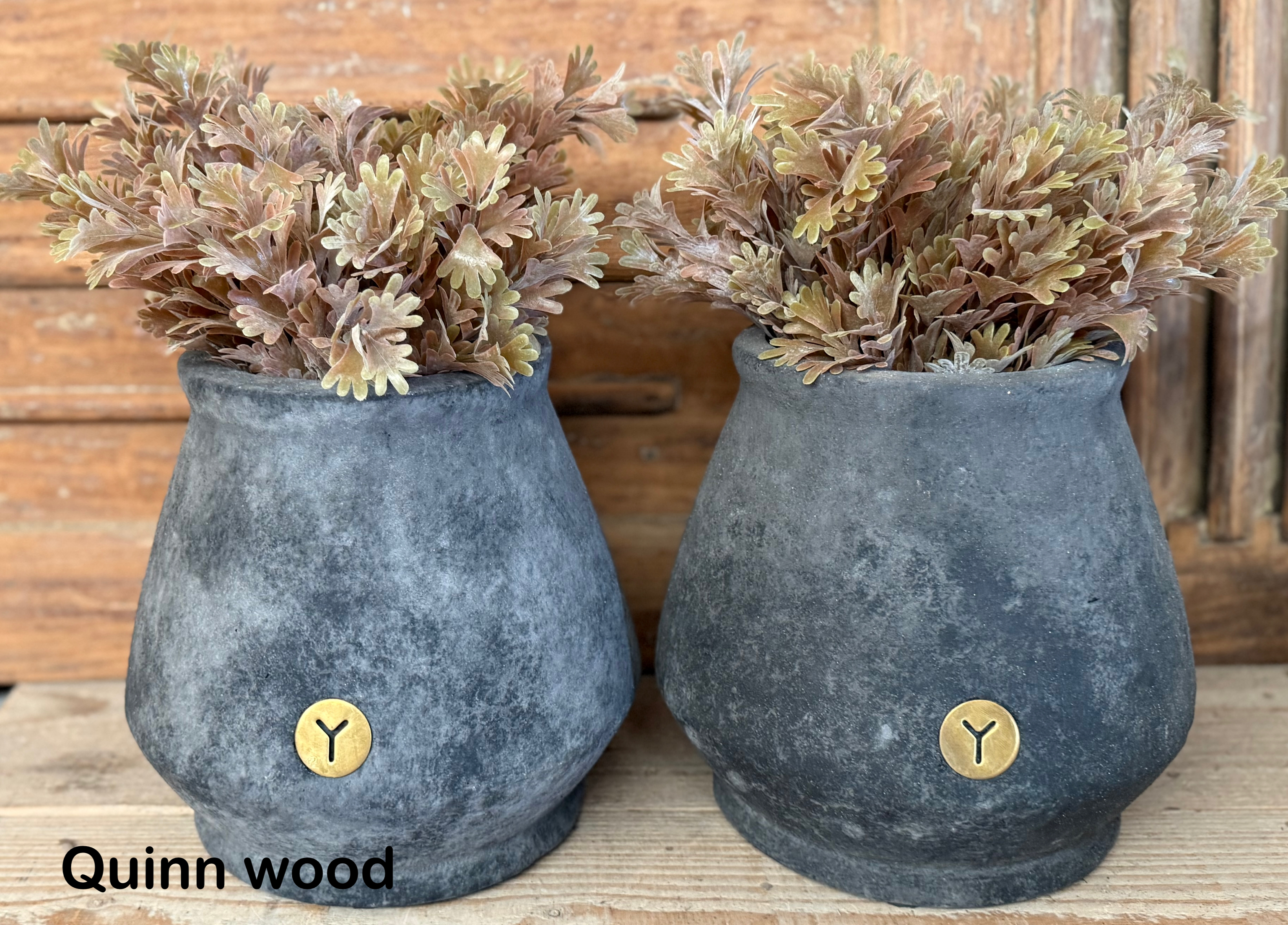 Brynxz senecio bush bronze
