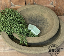 Brynxz plate ancient earth 32cm