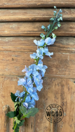 Brynxz delphinium light blue